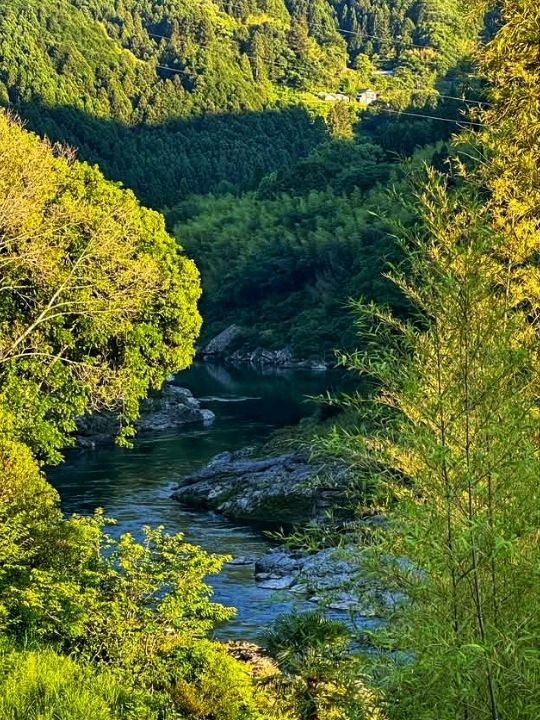 Oboke & Koboke: Japan’s Untamed Natural Wonder
