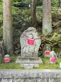 世界遺產‧清水寺（二年坂～三年坂)