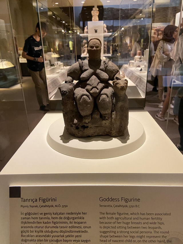 【アンカラ】アナトリア文明博物館で大興奮🇹🇷
