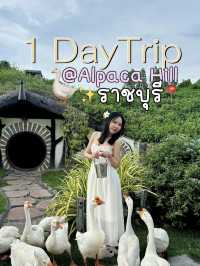 1 Day Trip 🪿Alpaca Hill ราชบุรี!🚗💨