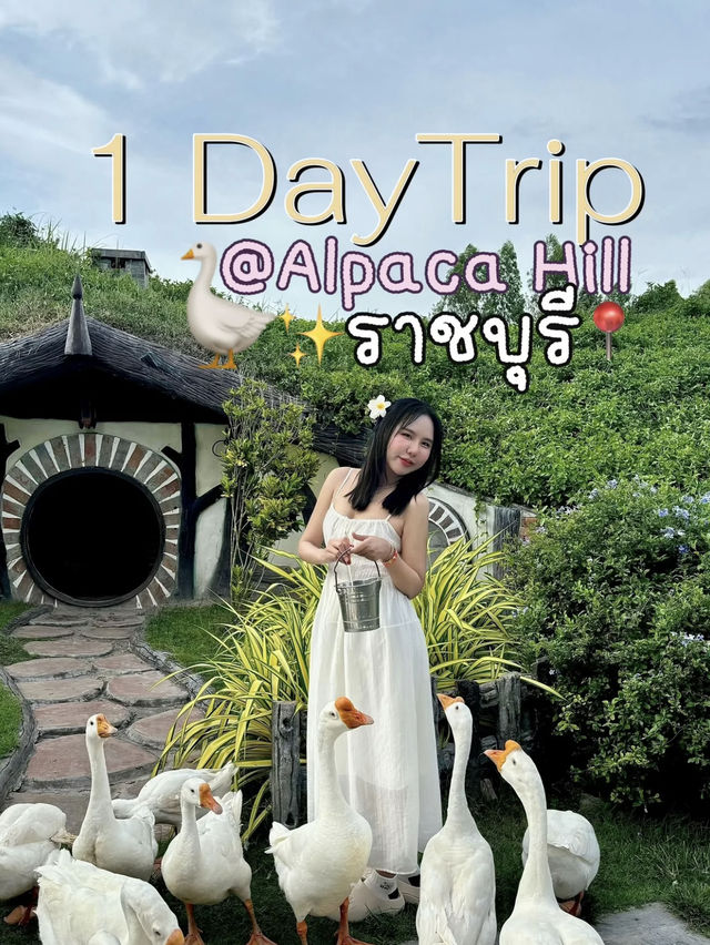 1 Day Trip 🪿Alpaca Hill ราชบุรี!🚗💨
