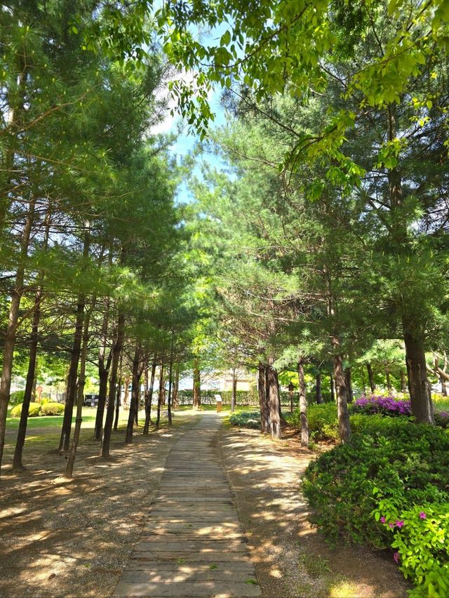 초록 싱그러움 가득한 괴산 연풍성지💜