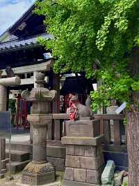 เที่ยวโอซาก้ากันเถอะ🇯🇵