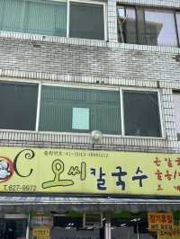 대전 목련, 벚꽃 여행🤍🩷