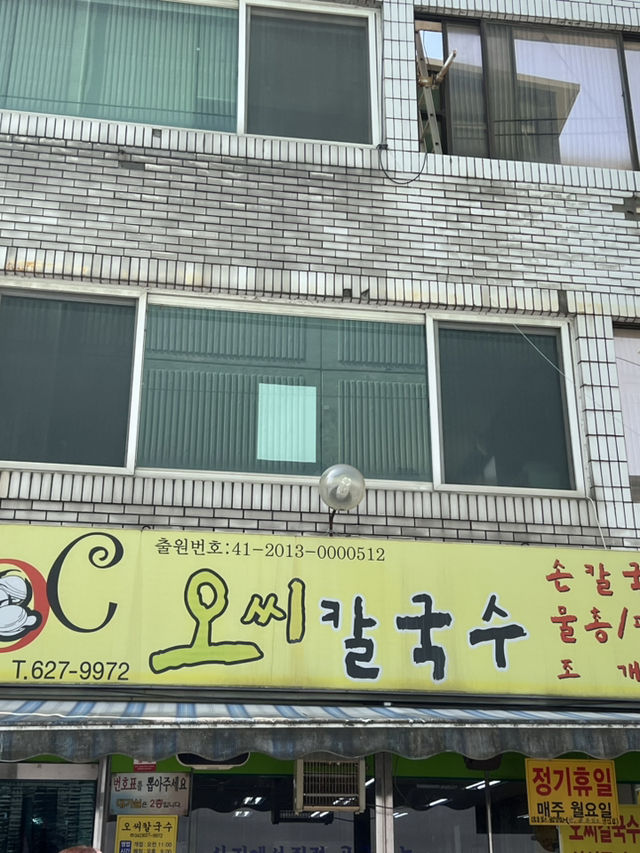 대전 목련, 벚꽃 여행🤍🩷