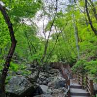 Jade Garden Daydream