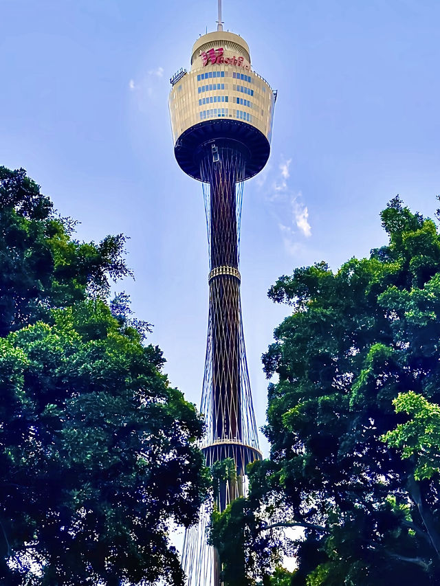 ออสเตรเลีย🇦🇺