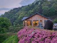 Lost in Nature (and Loving It) at Jirisan Odojae