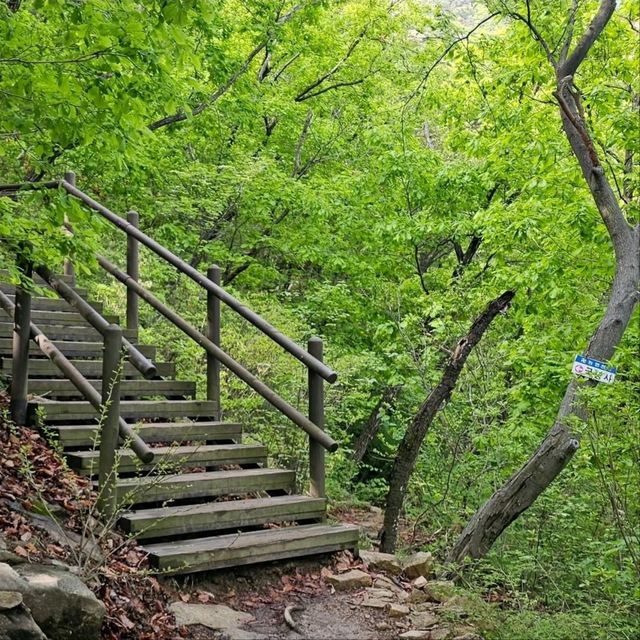 Temple Vibes + Nature Feels