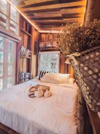 🌿☁️ บ้านไร่ไออรุณ…ระนอง