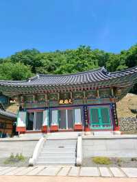 초록숲 속 힐링 산책, 장춘사로 떠나요🌿