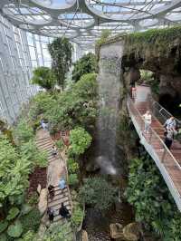 Shanghai Expo Culture Park – A Living Legacy of Nature and Design