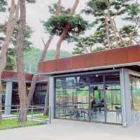 Soul Roastery Cafe
