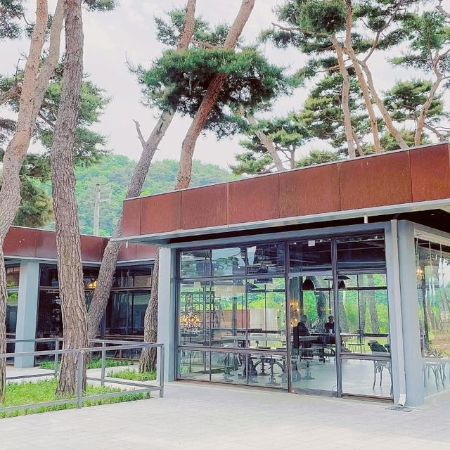 Soul Roastery Cafe