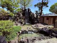 花開見佛-銚子妙福寺與來自京都的臥龍の藤