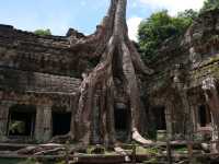 Tomb Raider Temple