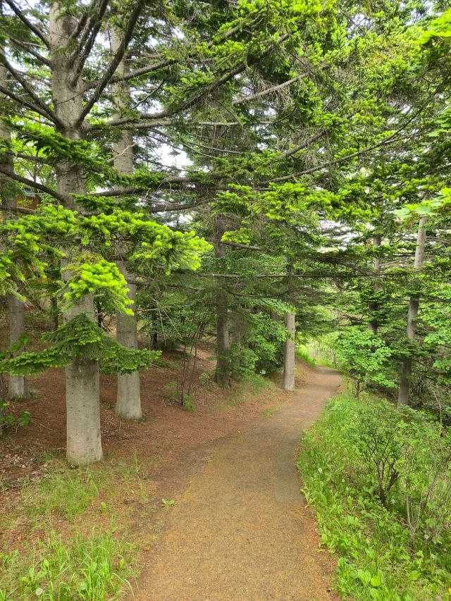 해외여행 삿포로 조망 좋은 旭山記念公園