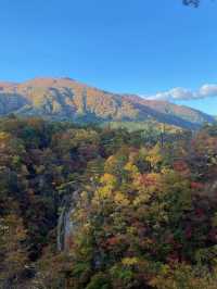 🍁【宮城・鳴子峡】紅葉のトンネルを歩く、秋だけの絶景ハイキング