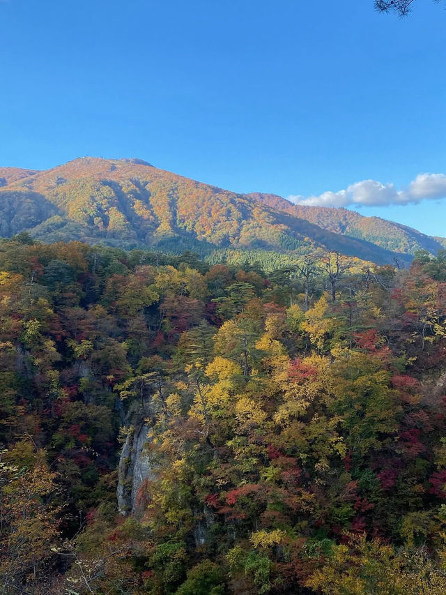 🍁【宮城・鳴子峡】紅葉のトンネルを歩く、秋だけの絶景ハイキング