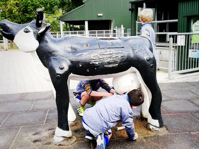 Summer Vacation at Dublin Zoo – A Wild Day in the Heart of the City