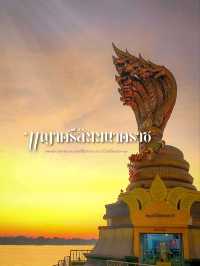 🙏✨ กราบพญาศรีสัตตนาคราช ริมโขง นครพนม ✨🙏