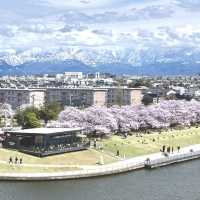 富山環水公園の景色