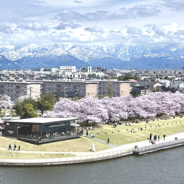 富山環水公園の景色