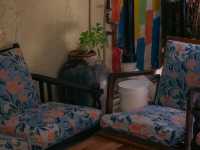 Calanthe Art Cafe