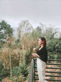 Budget Bliss with a Mountain View in Chiang Rai 🌄✨