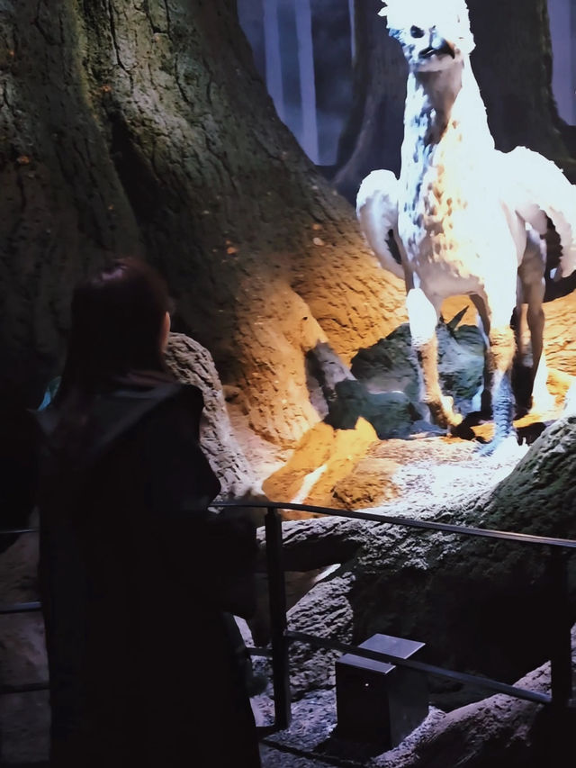 🪄 A Day at Harry Potter Studio Tour Tokyo – Pure Magic for Every Potterhead ⚡️