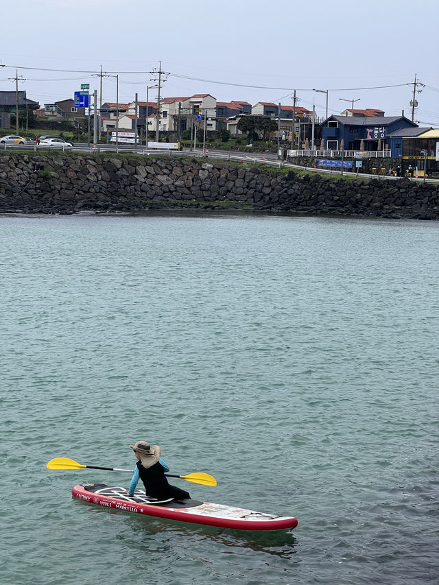 제주도 스노쿨링 명소 판포포구 🐠💙