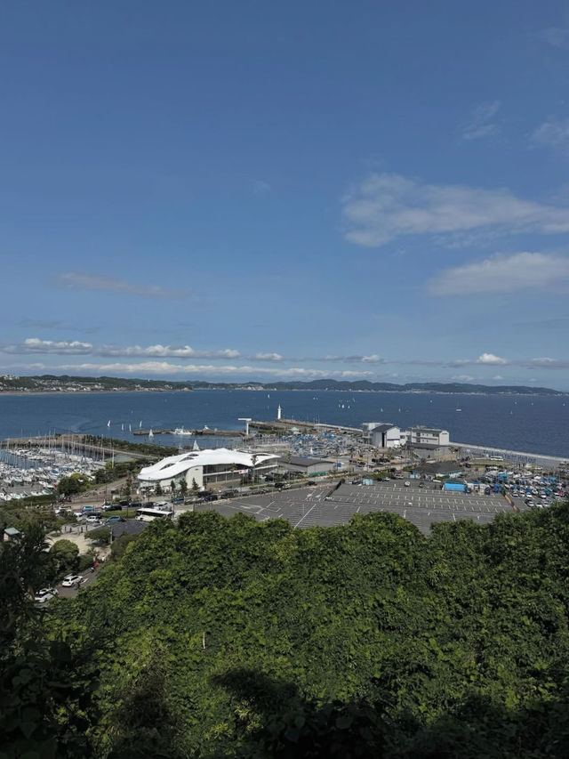 🌊海・神社・絶景がそろう「江の島」で、五感が満たされる旅を 