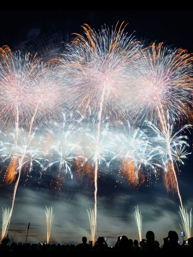 祈りと希望が夜空に咲く。長岡花火大会で心震える夏の記憶🎆