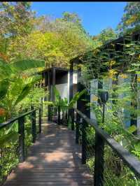 🏝️ Langkawi 3D2N Travel Guide – Where to Stay, Eat & Chill 🇲🇾✨