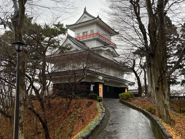 🌧️ Moody Skies Over Kubota Castle Ruins – A Quiet Slice of History