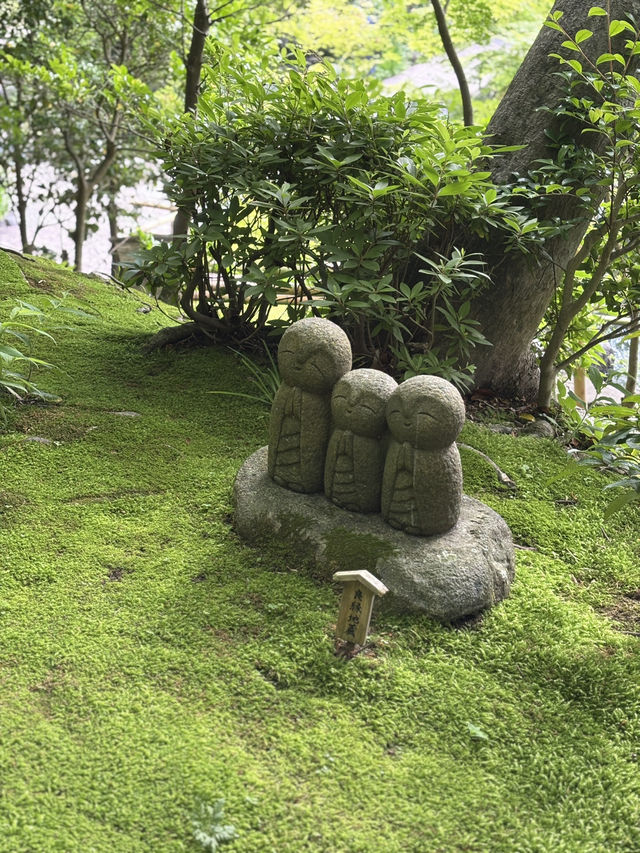 こんな景色が見れるなんて！日本の無人島と長谷寺あじさい
