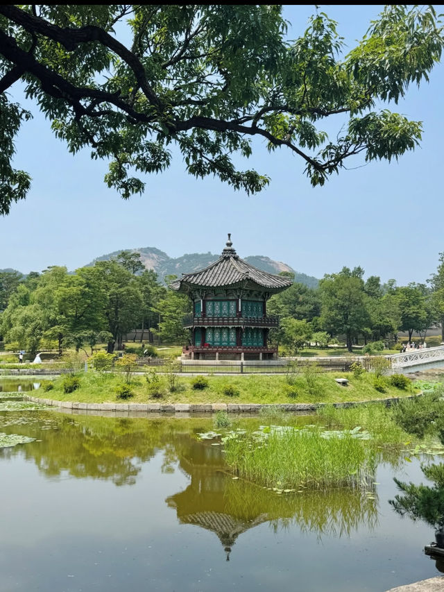 🏯【ソウル・景福宮】タイムスリップ気分で歩く、王朝の記憶
