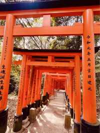 ⛩️✨ Fushimi Inari Taisha: Kyoto’s Iconic Thousand Torii Gates