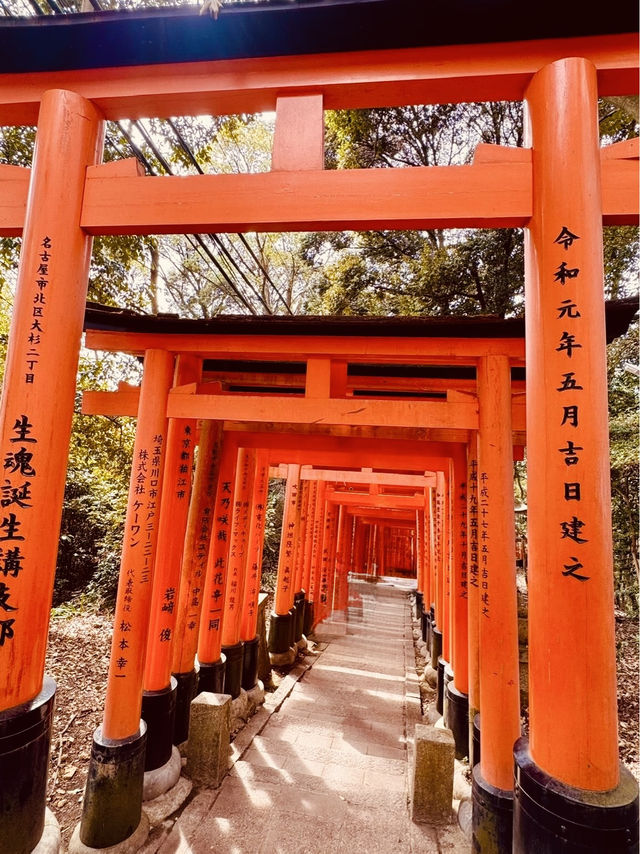 ⛩️✨ Fushimi Inari Taisha: Kyoto’s Iconic Thousand Torii Gates