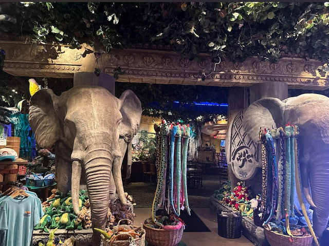 🌿Rainforest Café｜尼加拉瓜瀑布旁的叢林派對 