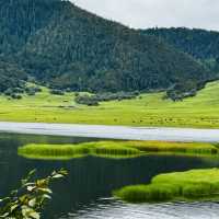 Find tranquility trekking through nature’s beauty