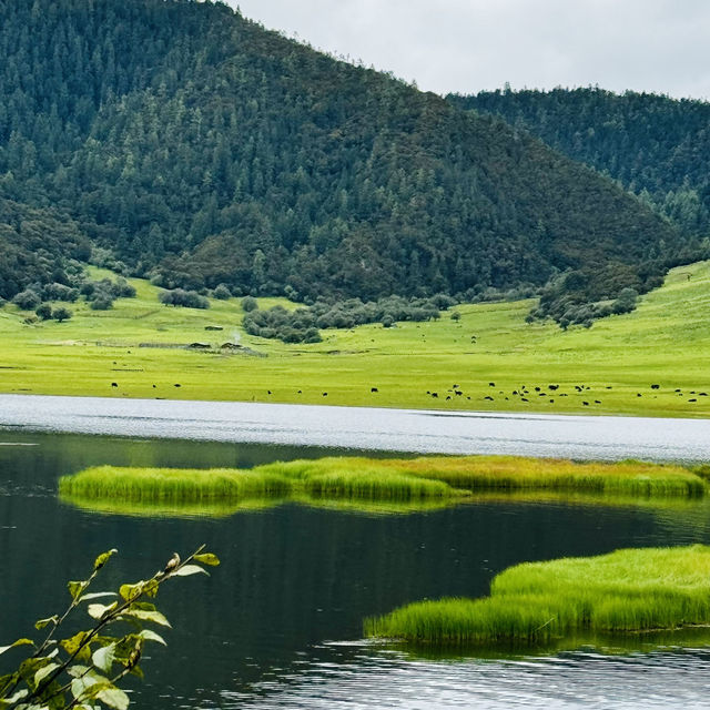 Find tranquility trekking through nature’s beauty