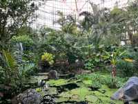 Green Escape at Sejong National Arboretum
