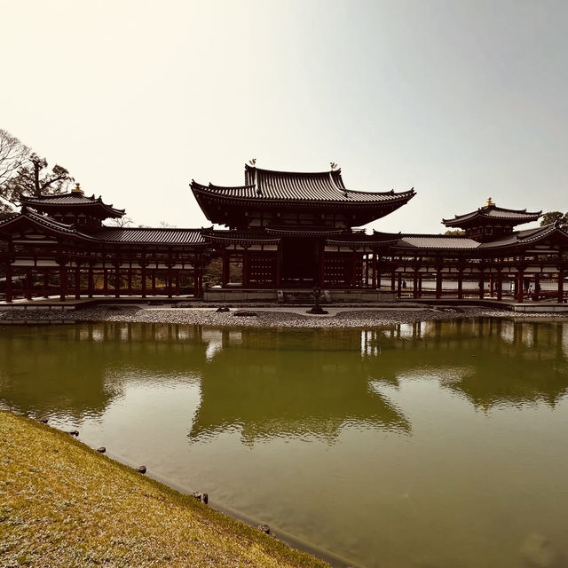 🕊️ Byōdō-in Summer Survival Guide