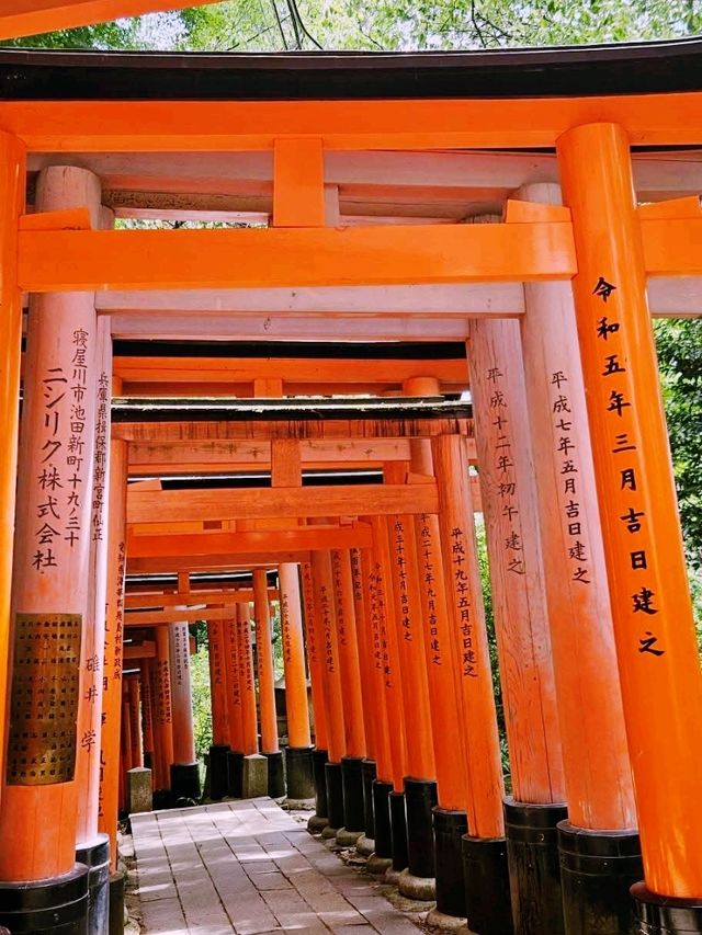Peace Torii