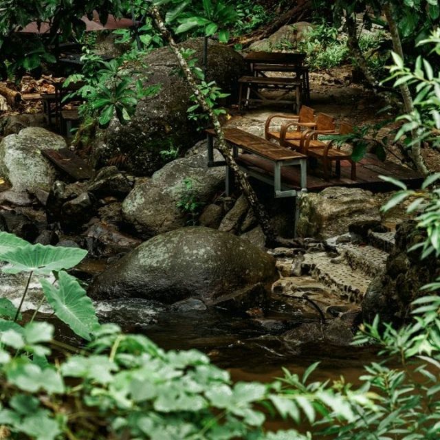 “สมศรี มีกาแฟ” บ้านปางไฮ ดอยสะเก็ด