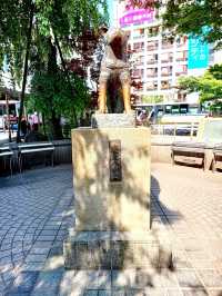 Shibuya Moments: From the Crossing to Hachikō