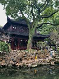 The Serene Inner Gardens and Pavilions of Yu Garden