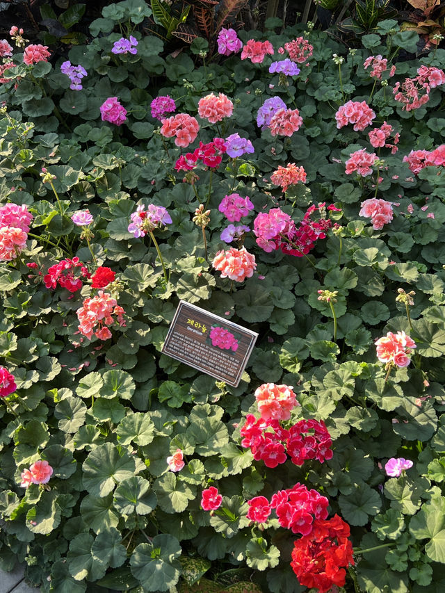 🌿 경주 동궁원에서 만나는 도심 속 정글🌺