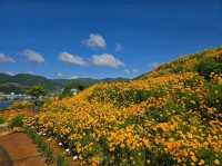 Flower Vibes at Jisepo